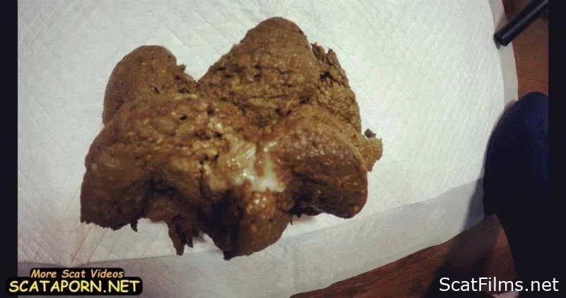 Brownie Baker: Crafting The Perfect Poop